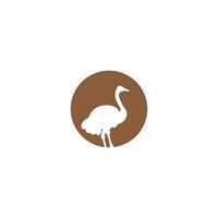 vector de icono de avestruz