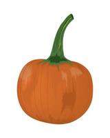 pumpkin vegetable icon vector