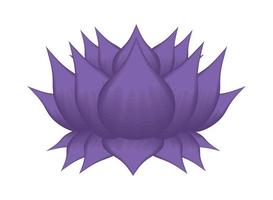 purple lotus flower vector
