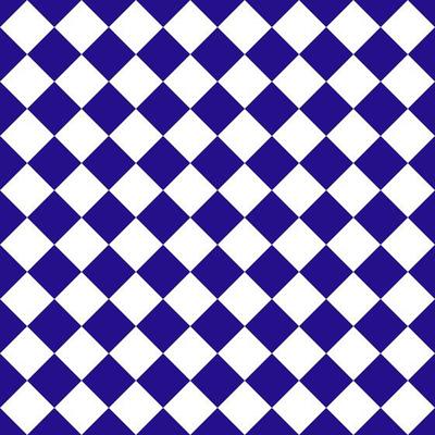 13 Royal Blue – White Varitone Graduated Background - Superior Seamless