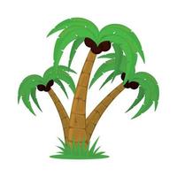 tropical palm tree vector