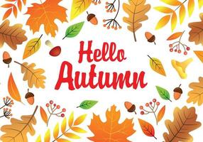 Hello Autumn Vector Colorful Decorative Leaves and Acorns Template Poster or Card