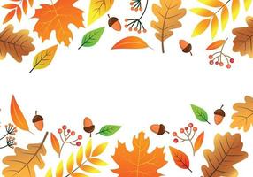 plantilla de borde vectorial de hojas de otoño. fondo de otoño con hojas de colores y bellota vector