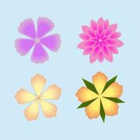 flowers spring season vector