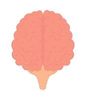 human brain organ vector