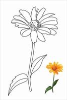 heliopsis flower, gerbera, chamomile in doodle style illustration for coloring book, coloring pages vector