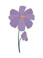 violet flowers icon vector