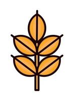wheat branch icon vector