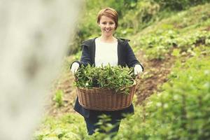 mujer jardineria vista foto