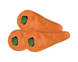 icono de vegetales de zanahorias vector