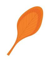 autumn yellow leaf vector