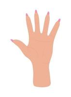 female with manicure vector