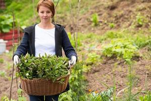 mujer jardineria vista foto