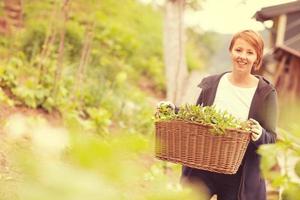 woman gardening view photo