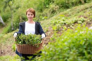 mujer jardineria vista foto