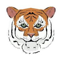 cabeza de tigre felino vector