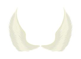 angel wings white background vector