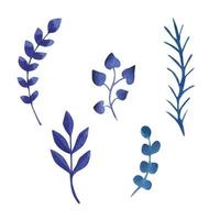 Blue watercolor leaves and branches. Vector set