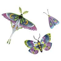 mariposa, juego de acuarela. ilustración del concepto esotérico y astrológico vector