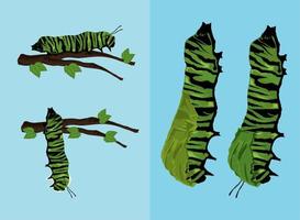 caterpillars on branch vector