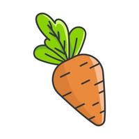 carrot flat icon vector