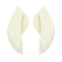 pair angel wings