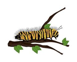 caterpillar and branch vector