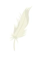 icono de pluma blanca vector