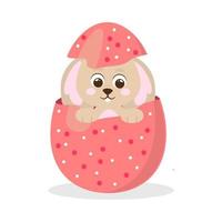 rabbit in easter egg vector