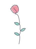 rose flower continuous line vector