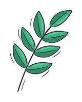 branch nature icon vector