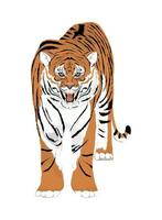 icono de tigre felino vector