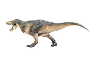 Tarbosaurus  Dinosaur on white isolate background Clipping path photo