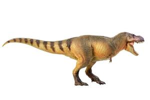 tiranosaurio rex dinosaurio sobre blanco aislar fondo trazado de recorte foto