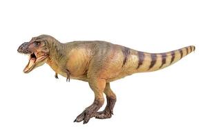 Tyrannosaurus Rex  Dinosaur on white isolate background Clipping path photo