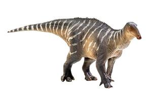 Iguanodon  Dinosaur on white isolate background Clipping path photo