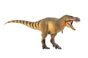 Tyrannosaurus Rex  Dinosaur on white isolate background Clipping path photo