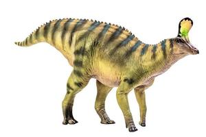 Tsintaosaurus Spinorhinus Dinosaur on white isolate background Clipping path photo