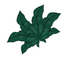 naturaleza hoja planta vector