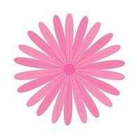pink flower petals vector