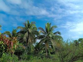 Hello summer holiday travel natural beautiful landscape meadow background wallpaper photography image photo