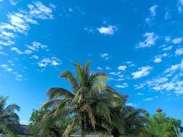 Nature blue sky countryside rural view clear weather abstract background image photo