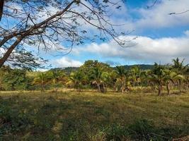 hola verano vacaciones viajes natural hermoso paisaje prado fondo fondos de pantalla fotografía imagen foto