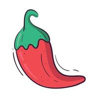 red chili pepper vector