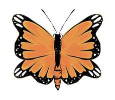 icono de la mariposa monarca vector