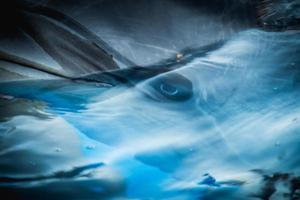 cerrar zoom en delfín oscuro un ojo en el agua en la piscina foto