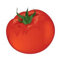 icono de tomate vegetal vector