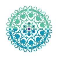 green and blue mandala ethnic vector