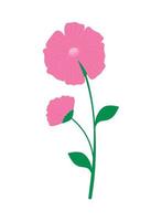naturaleza flor rosa vector