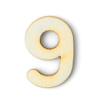 Wooden numeric 9 with  shadow on white photo